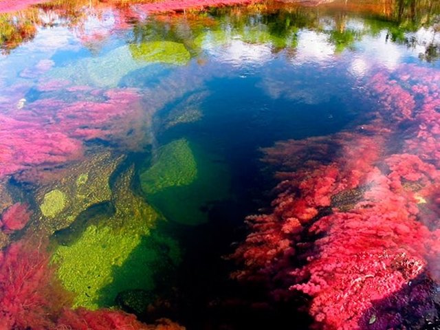 Por que este rio na Colômbia está sendo considerado o mais belo do mundo?