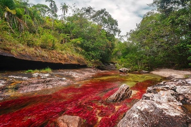 Por que este rio na Colômbia está sendo considerado o mais belo do mundo?