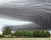 thumb-image-2024-02-29T14:02:57.426Z