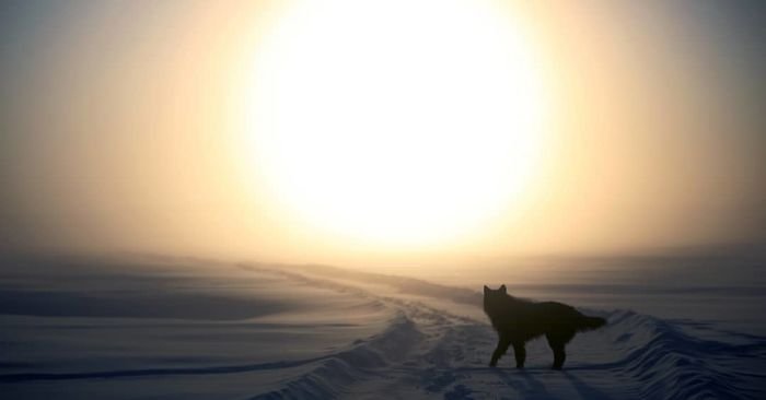 Veja o vilarejo mais frio do mundo, com temperaturas que chegam a – 62º C