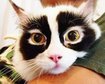 thumb-image-2024-02-29T14:02:58.650Z