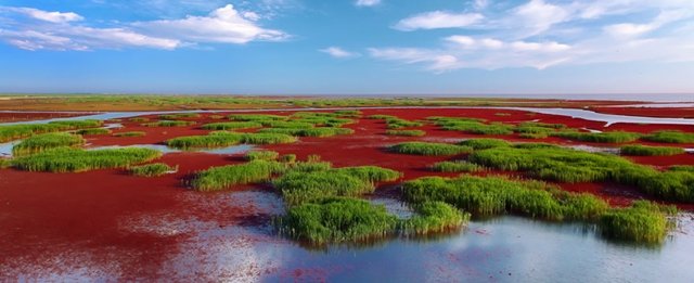 Este lugar na China está fazendo o maior sucesso por causa da sua cor
