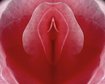 thumb-image-2024-02-29T14:02:59.109Z