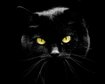 thumb-image-2024-02-29T14:02:59.518Z