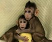 thumb-image-2024-02-29T14:03:00.133Z