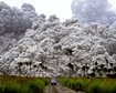 thumb-image-2024-02-29T14:03:00.508Z