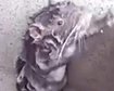 thumb-image-2024-02-29T14:03:00.740Z