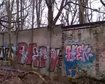 thumb-image-2024-02-29T14:03:01.174Z