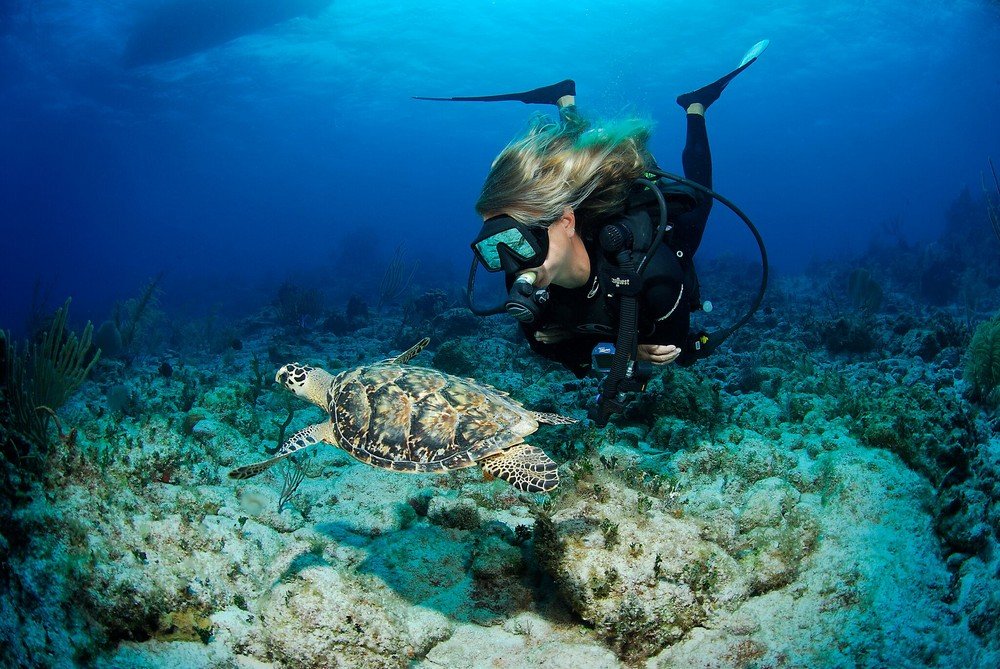 Mergulho nas Ilhas Cayman
