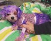 thumb-image-2024-02-29T14:03:01.435Z