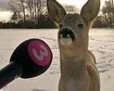 thumb-image-2024-02-29T14:03:01.641Z