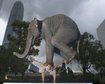thumb-image-2024-02-29T14:03:01.670Z