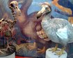thumb-image-2024-02-29T14:03:02.079Z