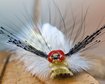 thumb-image-2024-02-29T14:03:02.388Z