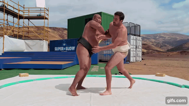 Lutadores de sumô