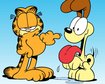 thumb-image-2024-02-29T14:03:03.751Z