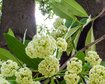 thumb-image-2024-02-29T14:03:05.956Z