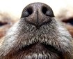 thumb-image-2024-02-29T14:03:06.984Z