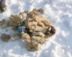 thumb-image-2024-02-29T14:03:08.241Z