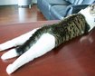 thumb-image-2024-02-29T14:03:09.991Z