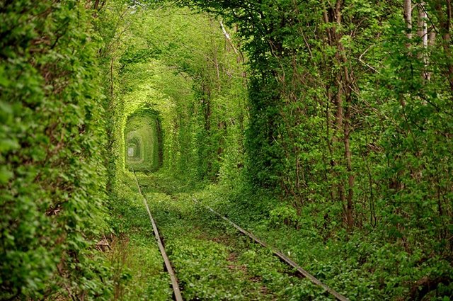 Túnel do Amor, na Ucrânia