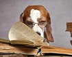 thumb-image-2024-02-29T14:03:10.637Z