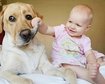 thumb-image-2024-02-29T14:03:10.932Z