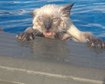 thumb-image-2024-02-29T14:03:11.004Z