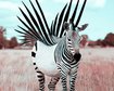 thumb-image-2024-02-29T14:03:11.097Z