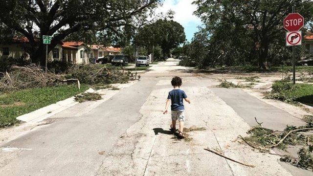 Rua depois do furacão Irma