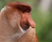 thumb-image-2024-02-29T14:03:12.156Z
