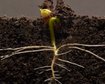 thumb-image-2024-02-29T14:03:12.210Z