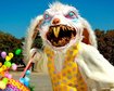 thumb-image-2024-02-29T14:03:12.770Z