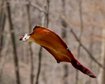 thumb-image-2024-02-29T14:03:13.026Z