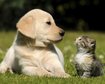 thumb-image-2024-02-29T14:03:13.239Z