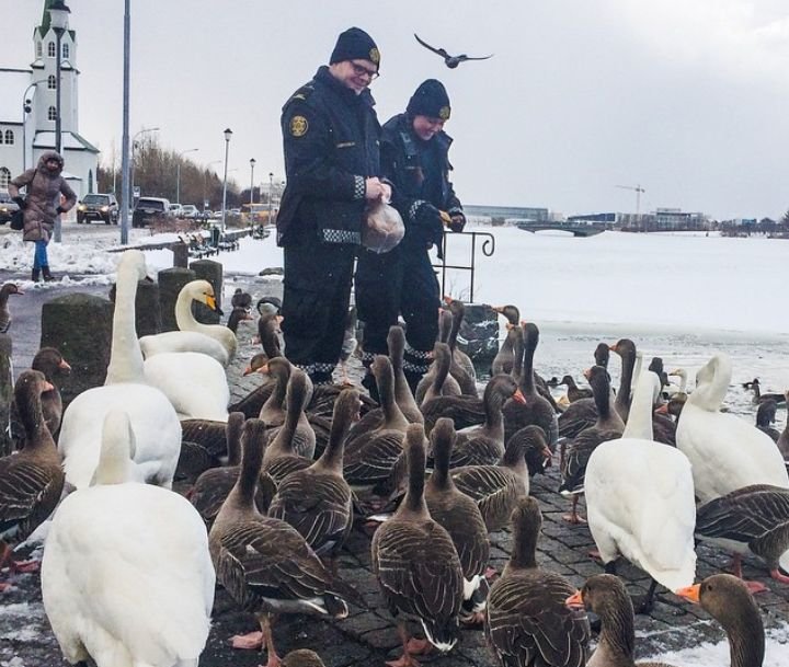 polícia da islândia