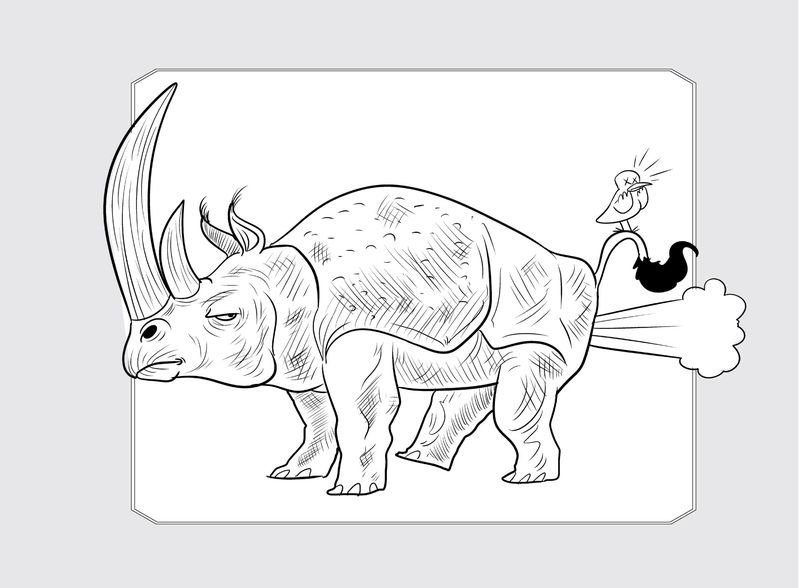 Rinocerontes fazem pum