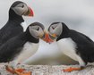 thumb-image-2024-02-29T14:03:14.585Z
