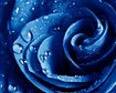 thumb-image-2024-02-29T14:03:14.839Z