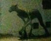 thumb-image-2024-02-29T14:03:15.722Z