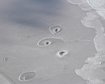 thumb-image-2024-02-29T14:03:16.934Z