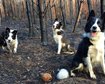 thumb-image-2024-02-29T14:03:17.057Z