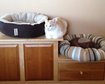 thumb-image-2024-02-29T14:03:18.262Z