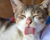 thumb-image-2024-02-29T14:03:21.309Z