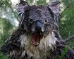 thumb-image-2024-02-29T14:03:22.062Z