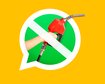 thumb-image-2024-02-29T14:03:22.144Z