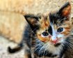 thumb-image-2024-02-29T14:03:22.221Z