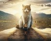 thumb-image-2024-02-29T14:03:22.647Z