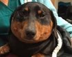 thumb-image-2024-02-29T14:03:23.139Z