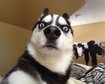 thumb-image-2024-02-29T14:03:23.554Z